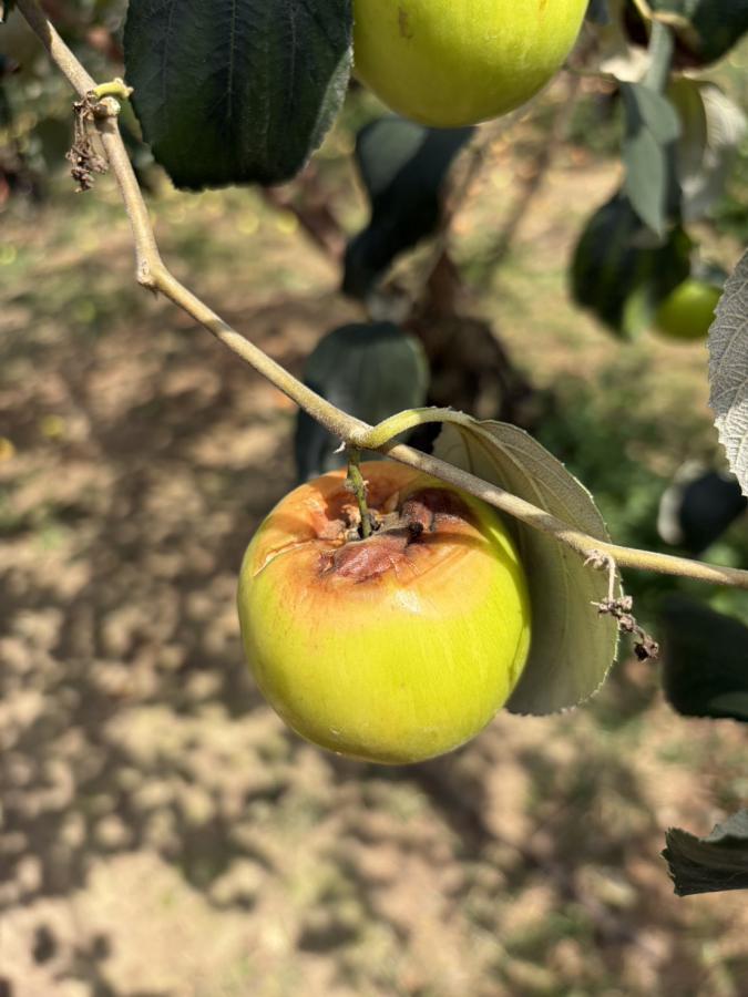 20260317213309 63fc802f