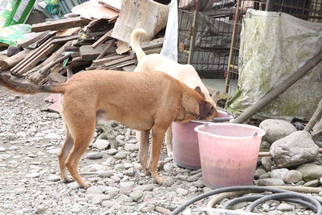 LINE ALBUM 2026129 260202 2 1024x683 1