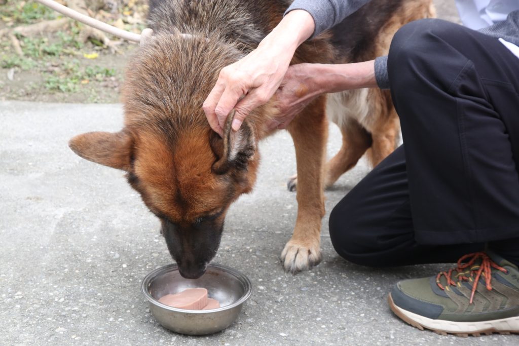 LINE ALBUM 2026129 260202 34 1024x683 1