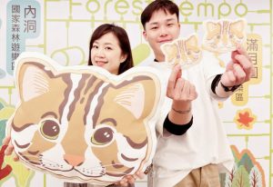 4 0 Fotor 1 300x206 1