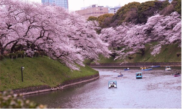 20260320093209 56 600x360 1