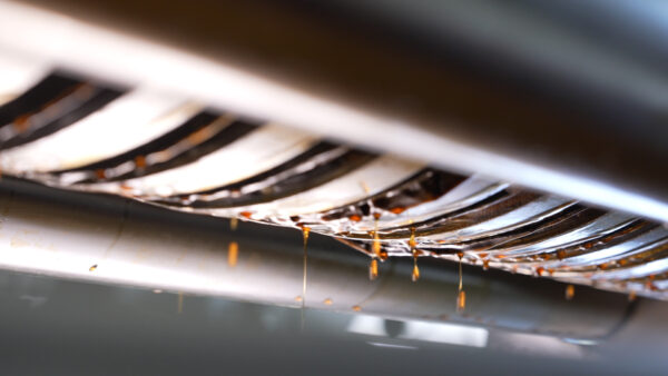 20260320113034 88 600x338 1