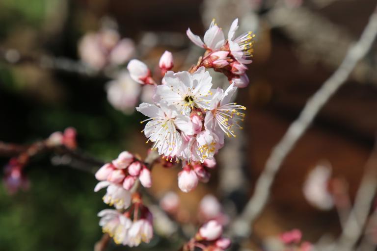 20260321172911 843cb8ac