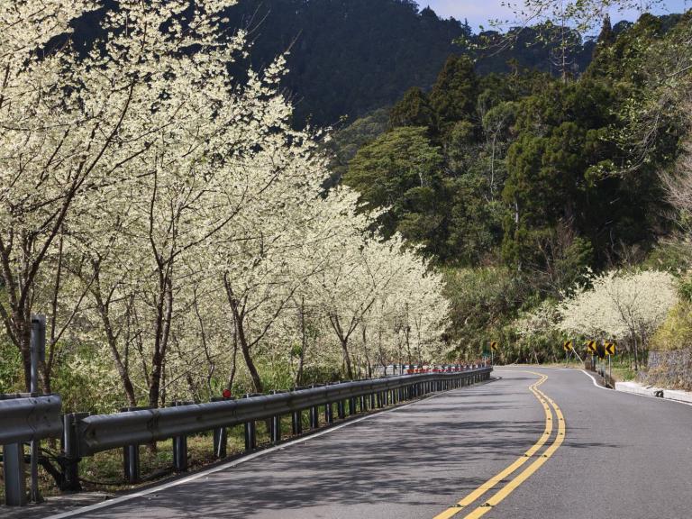 20260321172930 545b9196