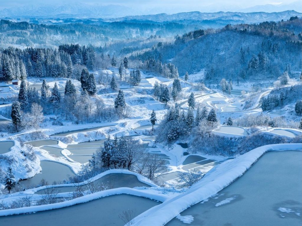 No 250041 1 %E6%98%9F%E5%B3%A0%E6%A2%AF%E7%94%B0 %E4%BE%86%E6%BA%90 %E6%9D%B1%E5%8C%97%E8%A6%B3%E5%85%89%E6%8E%A8%E9%80%B2%E6%A9%9F%E6%A7%8B 1024x768 2