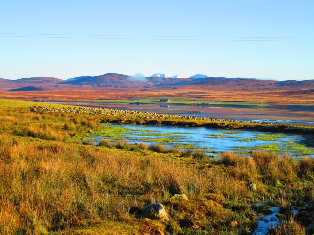 No 250042 5 Loch Gruinart %E6%BF%95%E5%9C%B0%E8%B3%9E%E9%B3%A5%E9%BB%9E%E4%B9%8B%E4%B8%80 %E4%BE%86%E6%BA%90 VisitScotland 1024x768 1