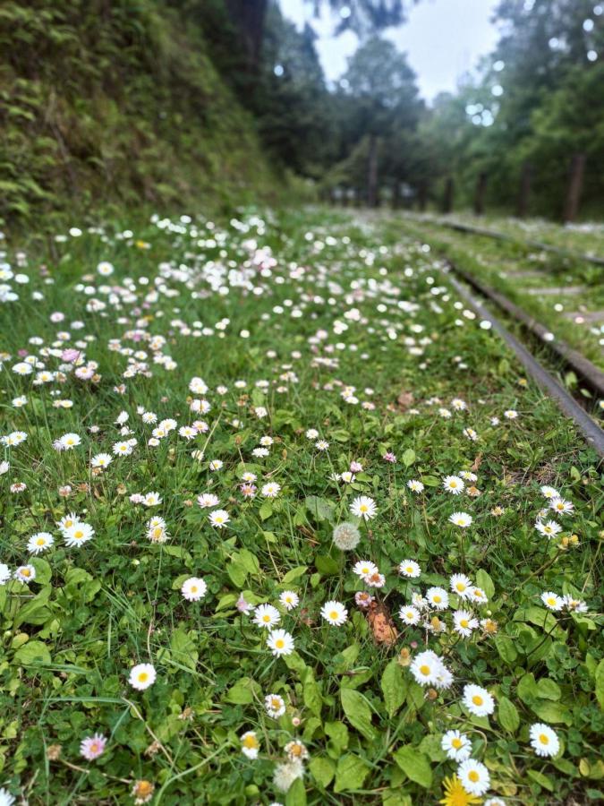 20260323234410 468cb392