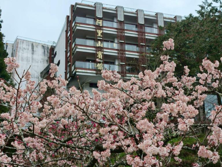 20260323234527 d427154a