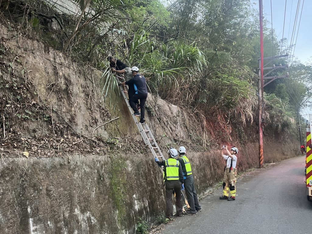 S 524296202 0 1024x768 1