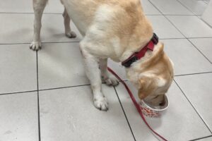 MEITU 20260327 090727102 300x200 2