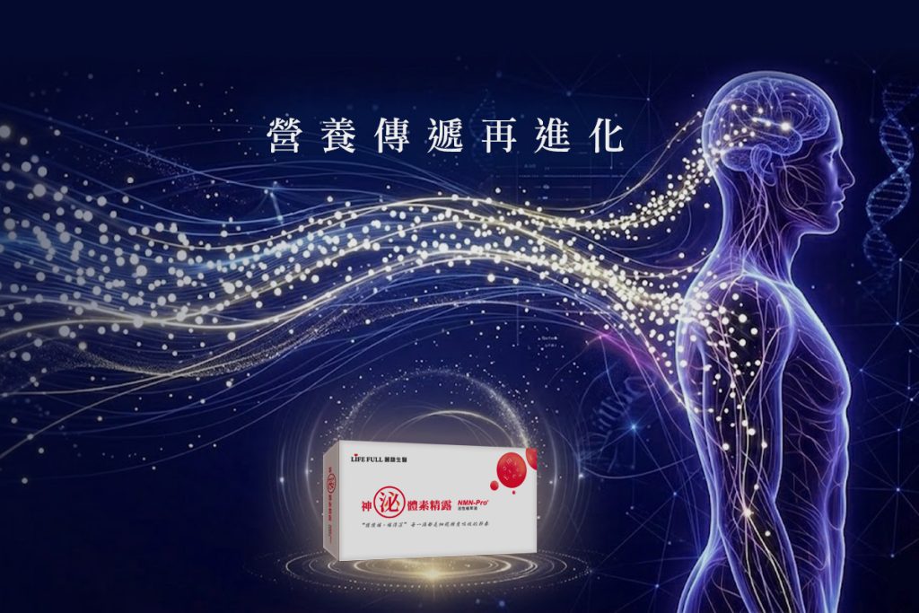 %E7%A5%9E%E6%B3%8C%E9%AB%94%E7%B4%A000001 1024x683 1