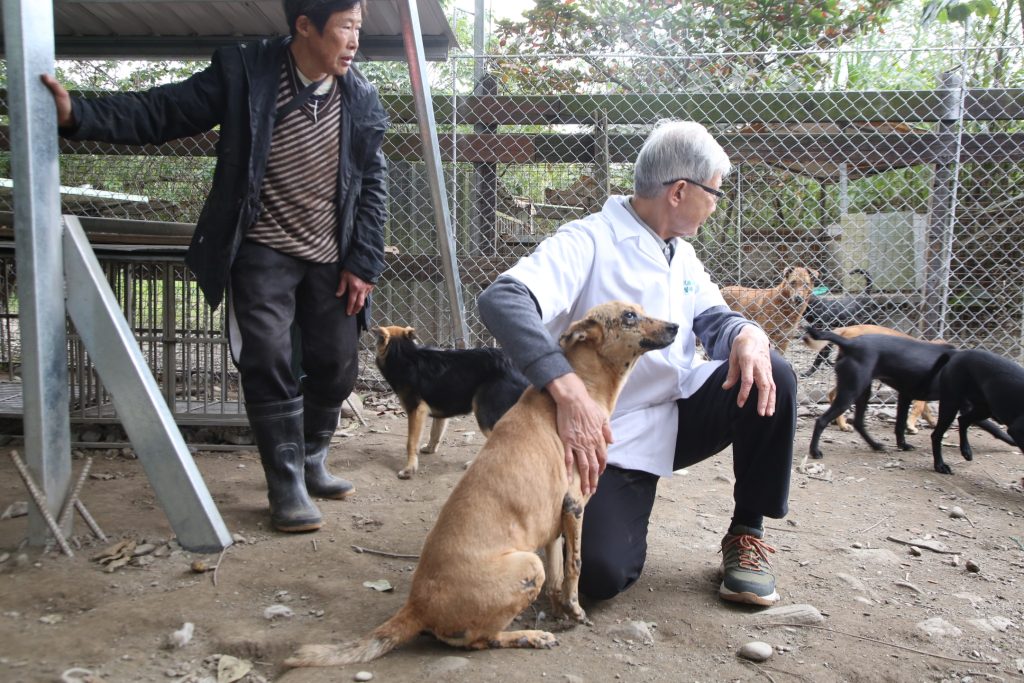 LINE ALBUM 2026129 260202 13 1024x683 1