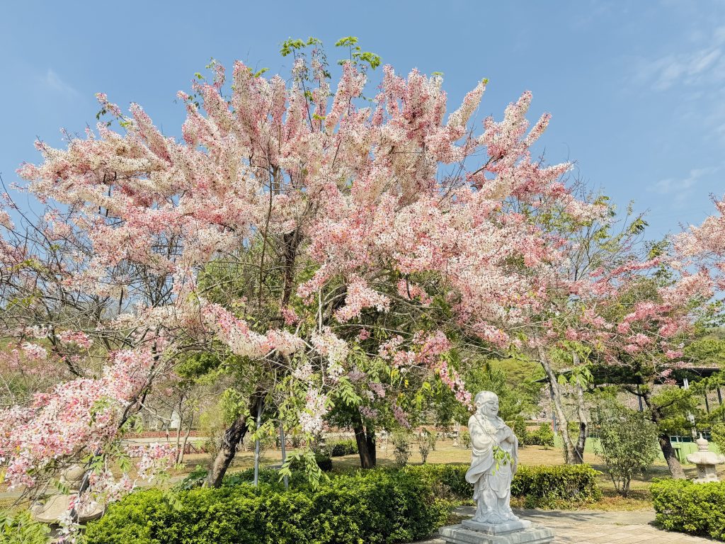 S 526008330 1024x768 1