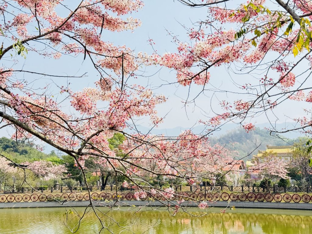 S 526008331 1024x768 1