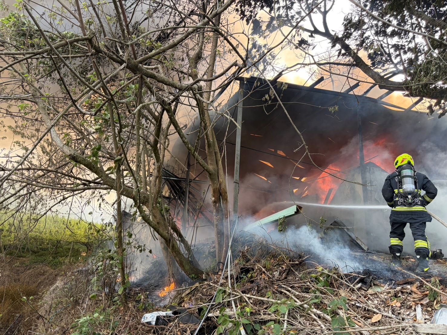 a48fae7a 9e96 469f b910 da6e152e90bd