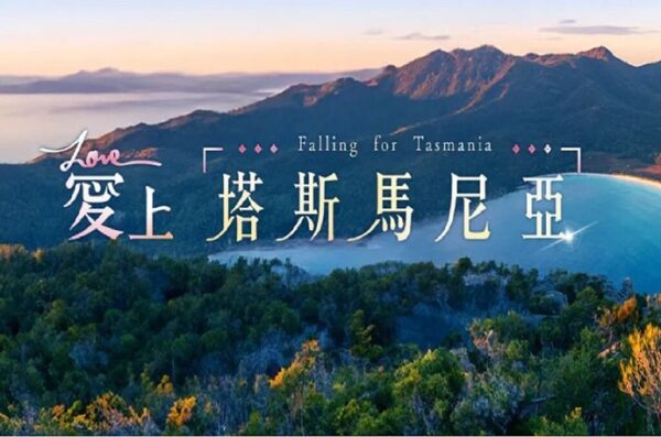 20260327185039 70 600x397 1