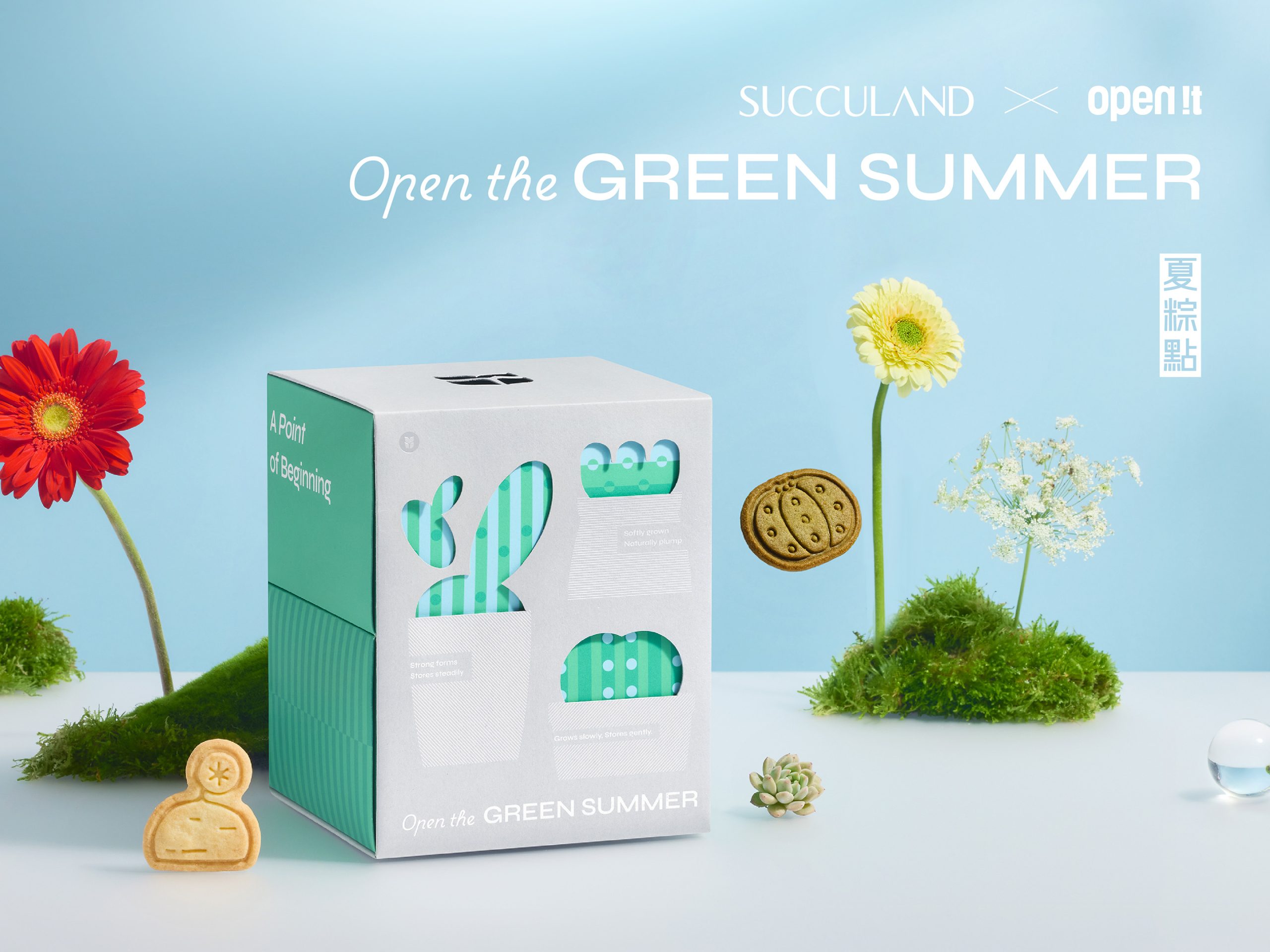 12026%E7%AB%AF%E5%8D%88%E7%A6%AE%E7%9B%92%E5%A4%8F%E7%B2%BD%E9%BB%9E scaled 1