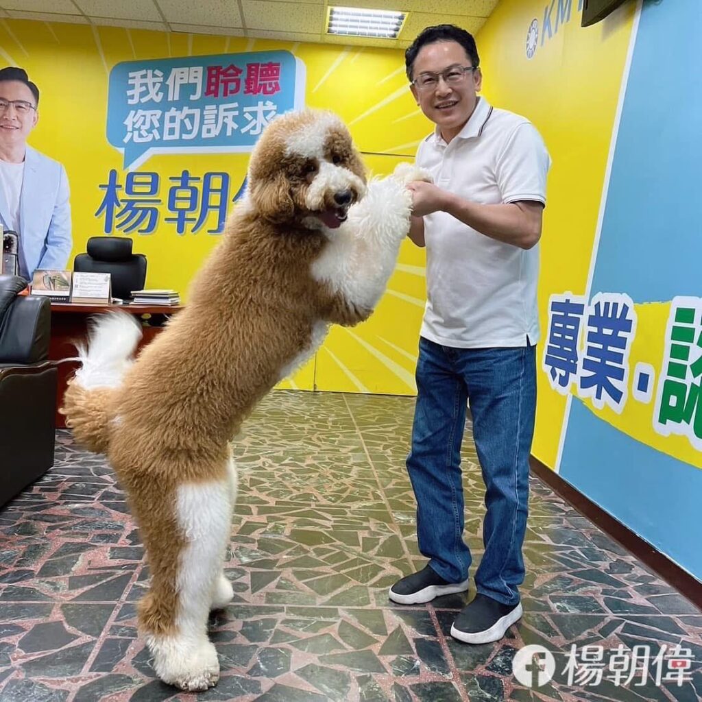 489965082 1219186109561513 6543350683522080933 n 1 1024x1024 1