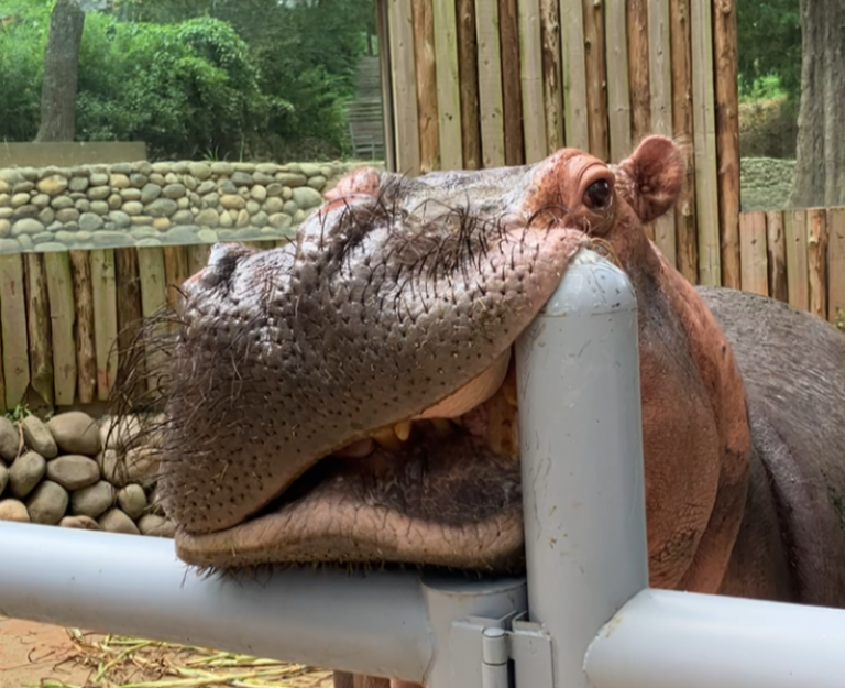 20260331152515 f90a280c