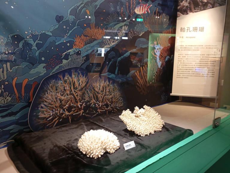 20260331164755 74697258