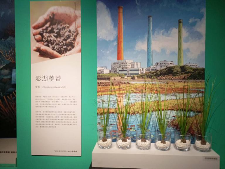 20260331164834 769b497a