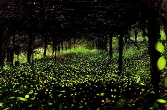 ba05d04e 4ba3 41a8 a841 030b811d7977 177494833839786657902984138