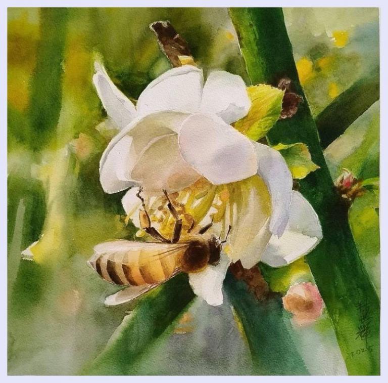 20260401161608 3f6e2d6c