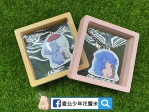 1775091366629 300x225 1