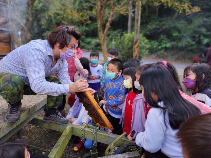 連假走春遊三峽 尋花嚐蜜揭開蜂箱祕密 4 《圖說》帶領學童認識蜜蜂。〈農業局提供〉