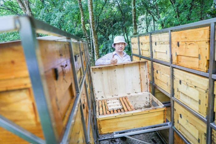 連假走春遊三峽 尋花嚐蜜揭開蜂箱祕密 6 《圖說》「蜂樺蜂蜜」第三代負責人陳冠樺,將「傳統生產」與「體驗教育」深度結合,致力透過互動參與,引導大眾認同農產品背後的職人精神與永續價值。〈農業局提供〉