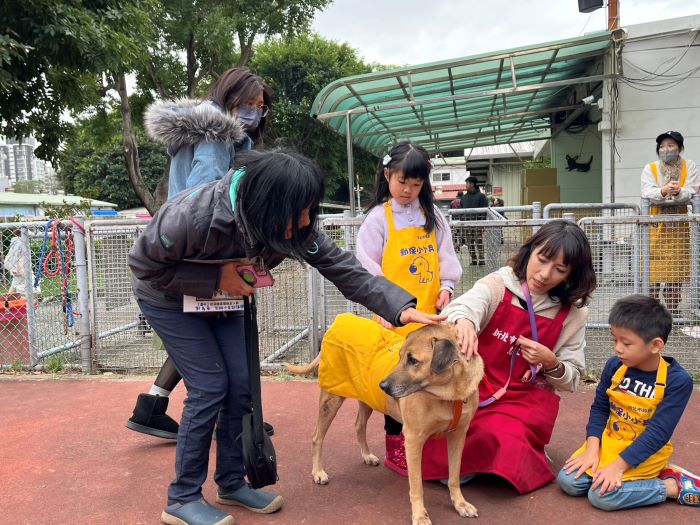 兒童節推生命教育扎根 新北動保小小兵體驗課登場 5 《圖說》志工協助親子與狗老師互動。〈動保處提供〉