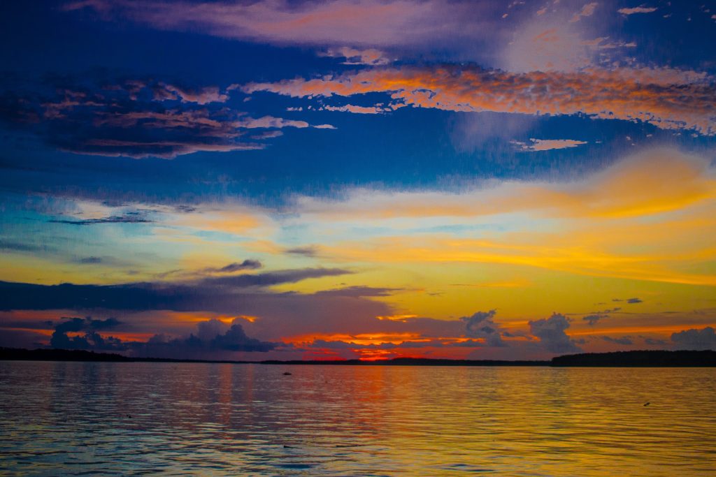 秘魯旅遊全攻略:4至10月黃金季 深度探索安第斯與亞馬遜 5 %E5%B8%95%E5%8D%A1%E4%BA%9E%E8%96%A9%E7%B1%B3%E9%87%8C%E4%BA%9E%E5%9C%8B%E5%AE%B6%E8%87%AA%E7%84%B6%E4%BF%9D%E8%AD%B7%E5%8D%80 1024x683 1