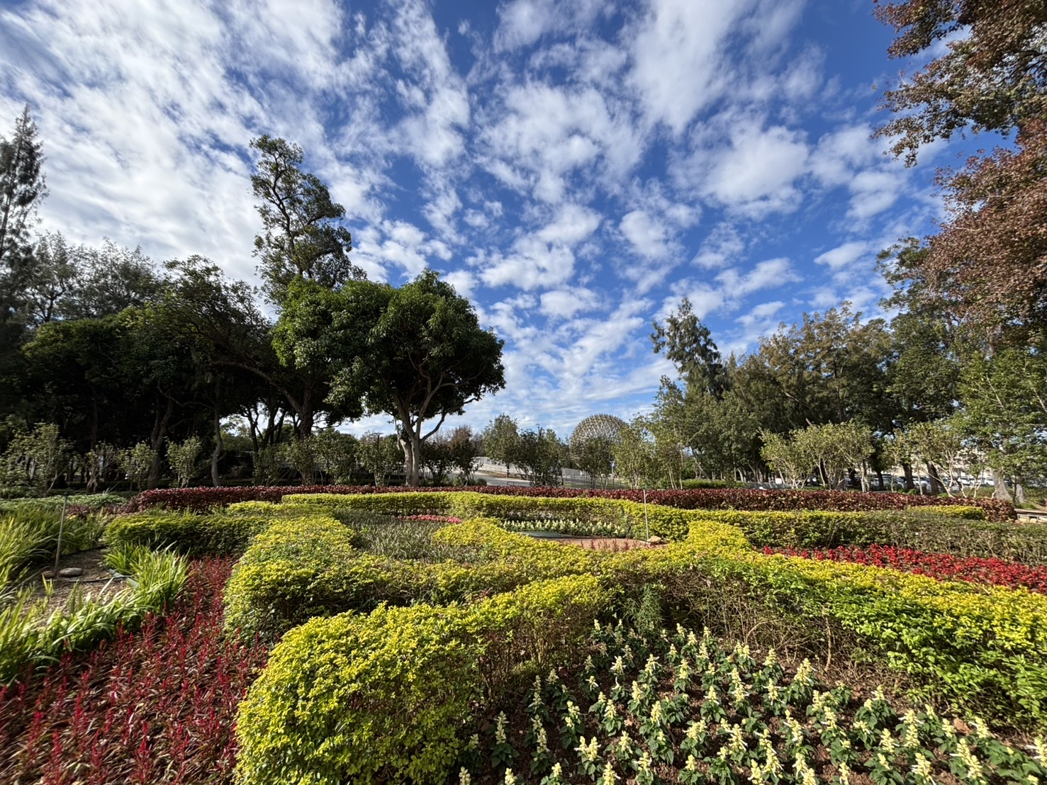 01 E5BE9EE5B195E7A4BAE8979DE8A193E588B0E7949FE6B4BBE5A0B4E59F9F E5908EE9878CE6A3AEE69E97E585ACE59C92E6A99FE6A2B0E88AB1E5959FE58B95E8BD89E59E8B