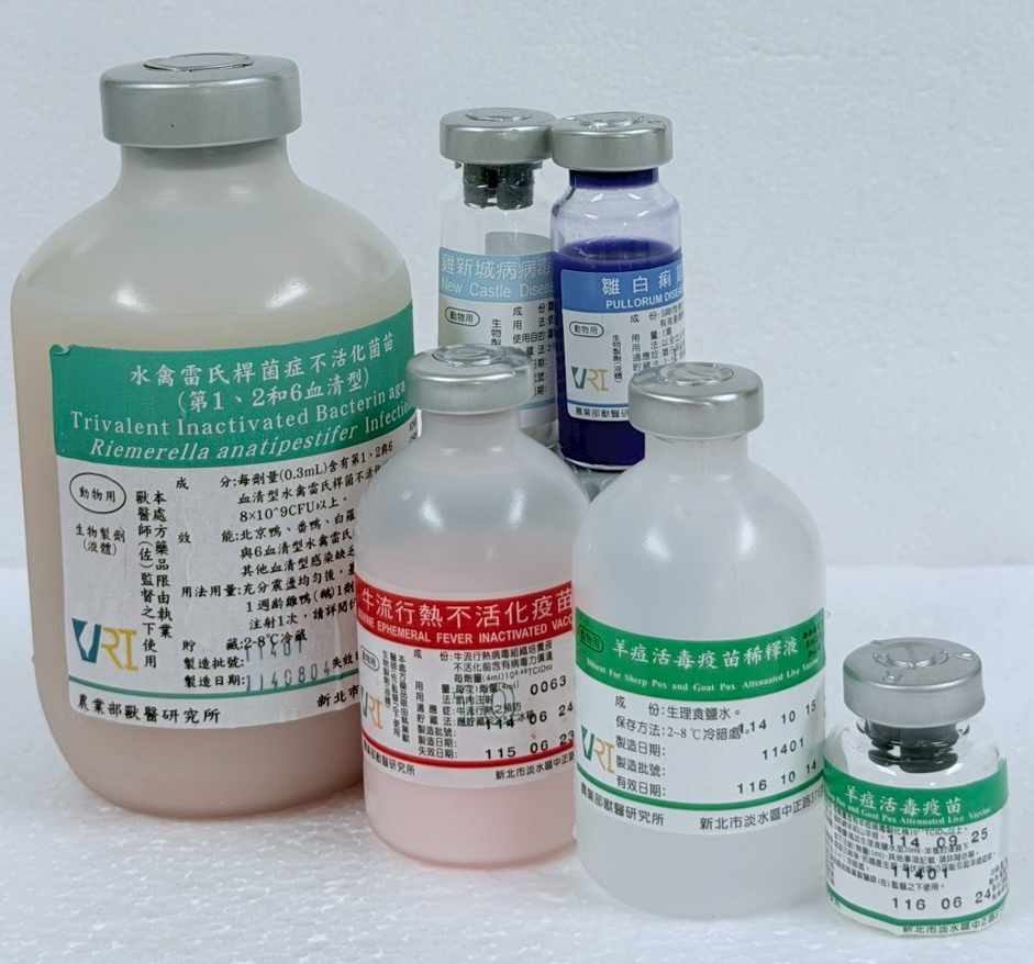 20260407181911 cdaac6e2