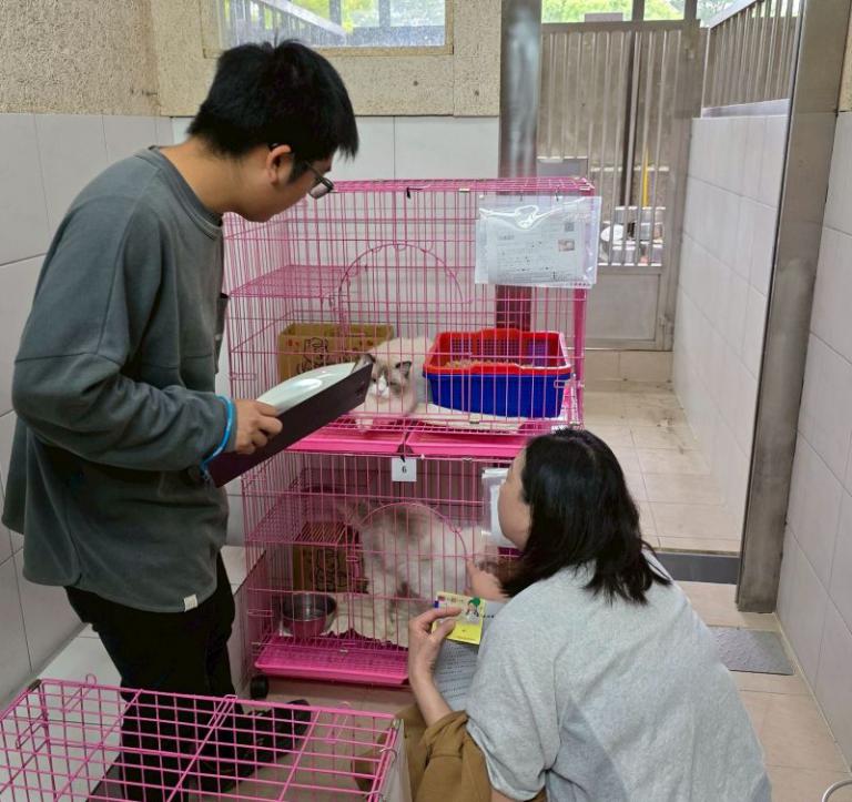 20260408105315 df5bba2a