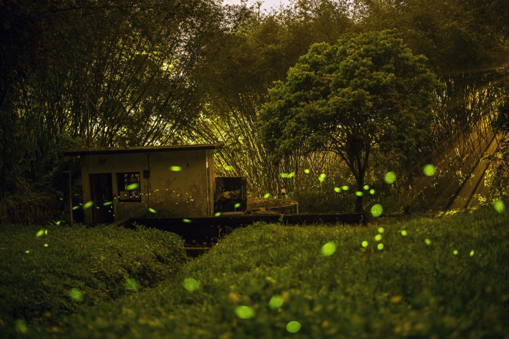 S 529997831 1024x682 1