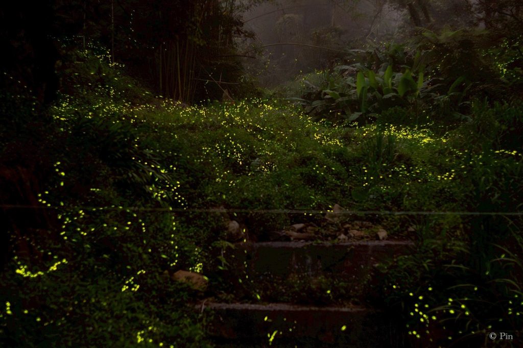 S 529997832 1024x682 1