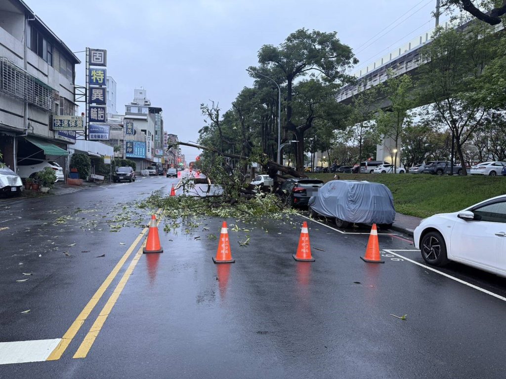 S 529973354 0 1024x768 1