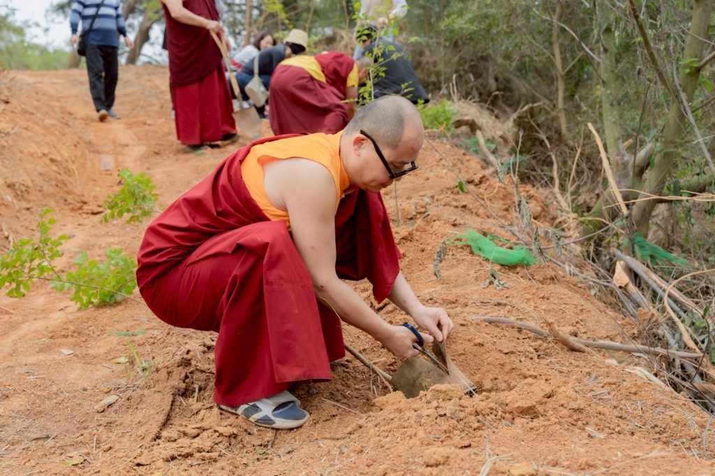 %E9%85%8D%E5%90%88%E7%95%B6%E5%9C%B0%E7%92%B0%E5%A2%83%E7%A8%AE%E6%A4%8D%E8%80%90%E9%A2%A8%E6%A8%B9%E7%A8%AE%E5%85%89%E8%A0%9F%E6%A8%B9%E5%92%8C%E4%B9%9D%E8%8A%8E 1024x682 1