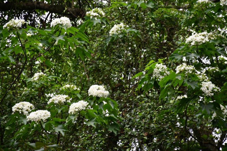 20260409171528 cfa852ef