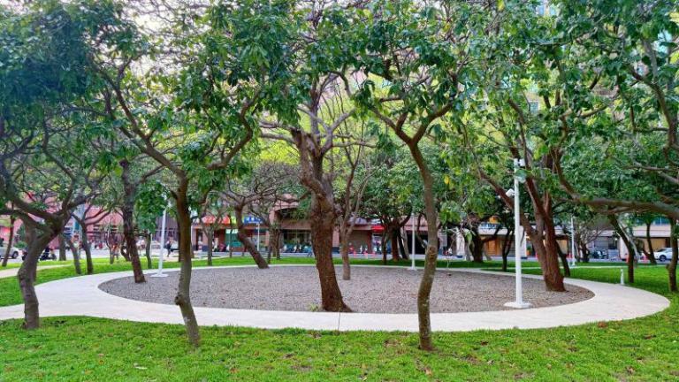 20260410175832 202aa074