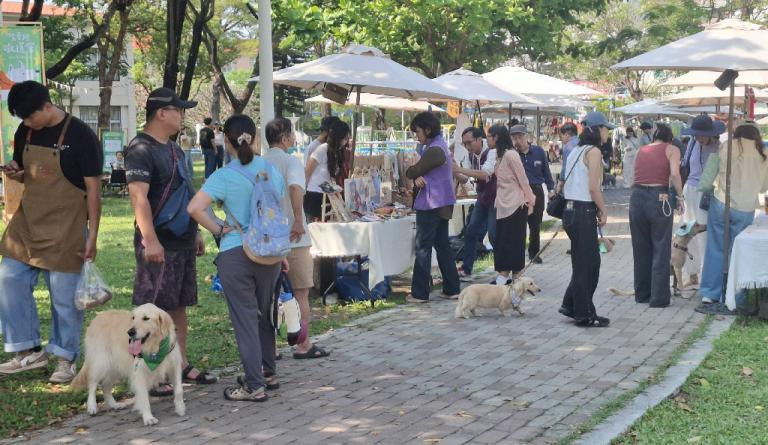 20260411215318 95205dd2