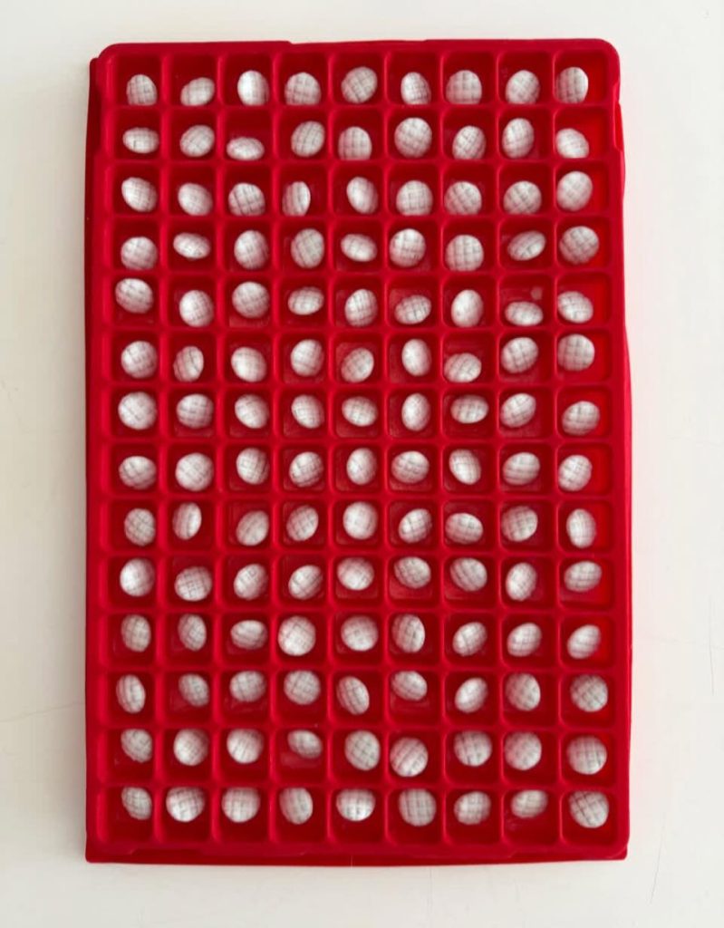 《暗黑浪漫風》 Valentino的古典與古怪 10 ValentinoFW2600006 799x1024 1