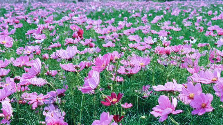 20260413110627 eca333bd