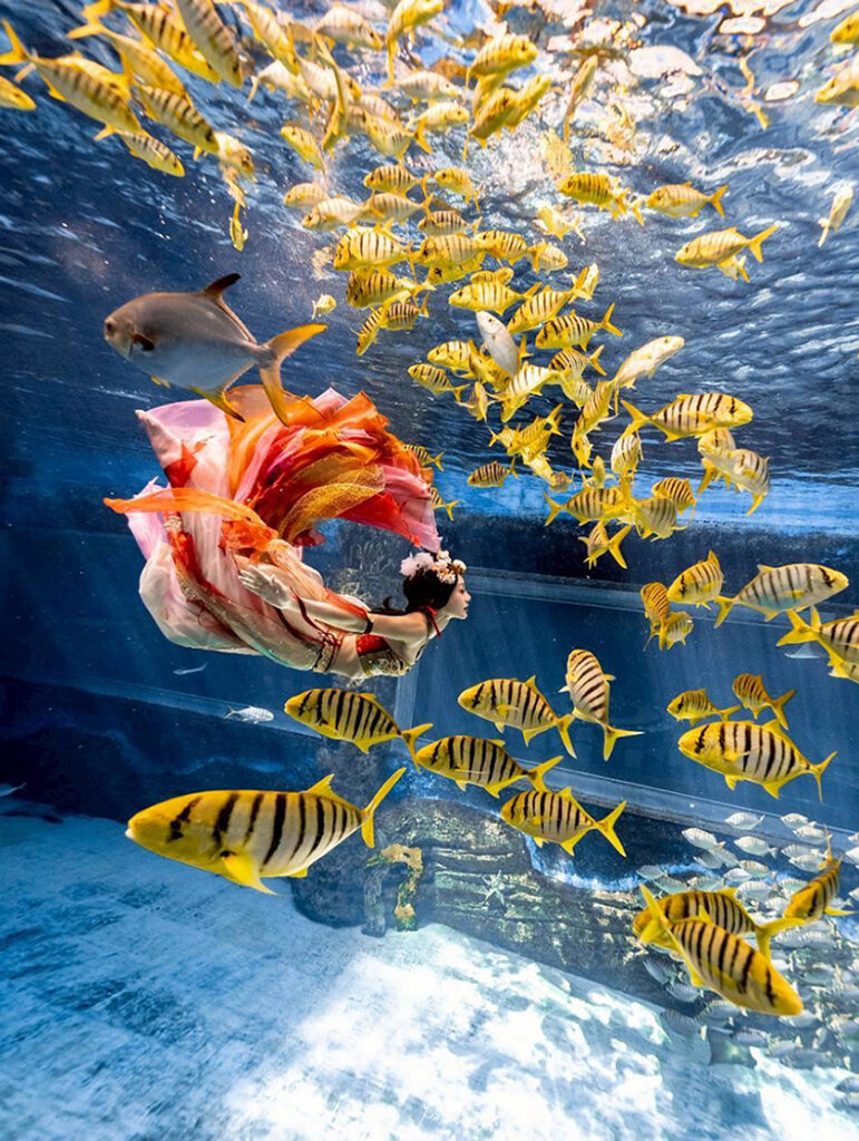 S 241647667 0 771x1024 1