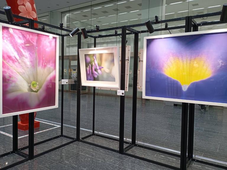 20260413194925 8bfda782