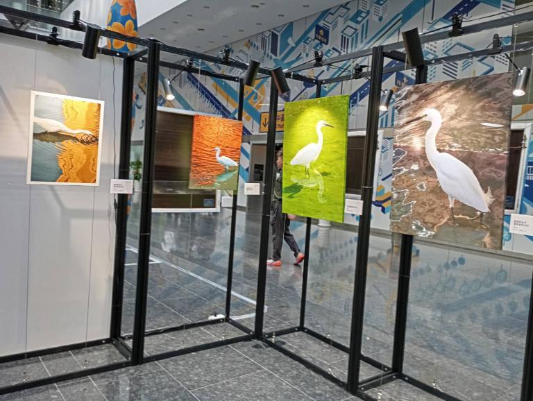 20260413194934 f5e5ee70