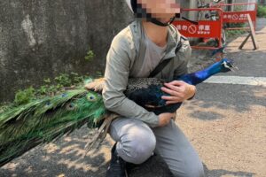 MEITU 20260414 092117110 300x200 1