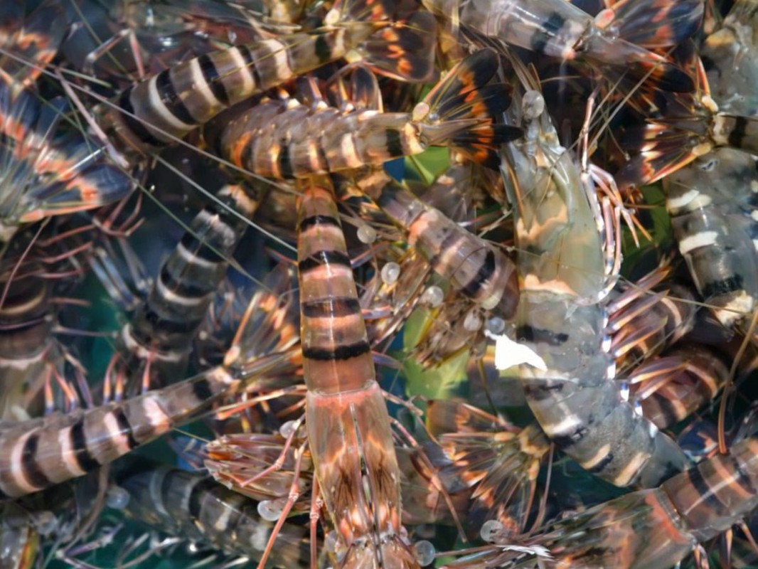 3f3eae60 aeb8 480c adee 2e85df5accbe 177614687343012213707721782