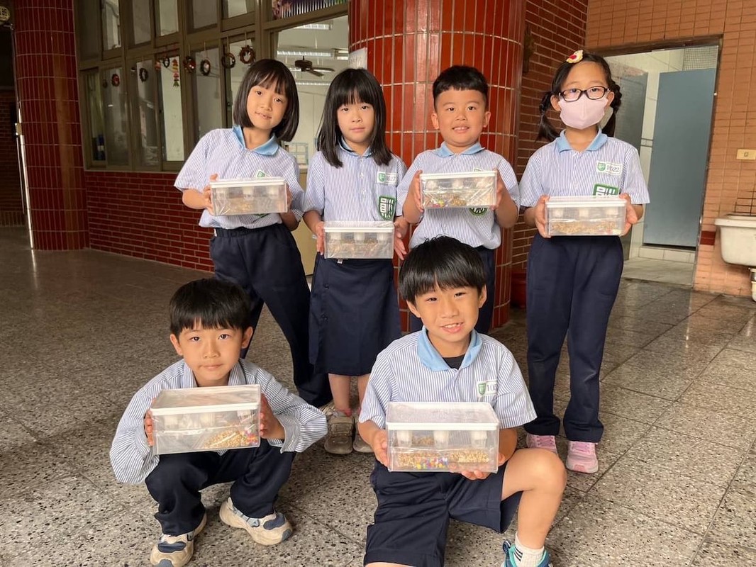 魚菜共生走入校園與社區 打造永續生活新模式 5 94f47b00 0450 420b a30e 3617b0a93b52